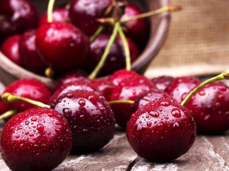 Вишня купить саженцы из питомника в Бузулуке