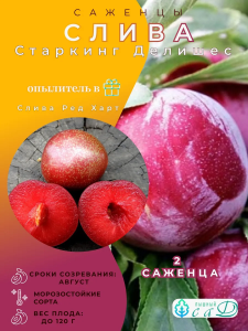 Слива Старкинг Делишес и опылитель Ред Харт 2 саженца